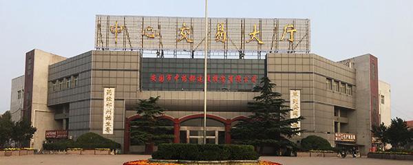 药材市场快讯,中药材野菊花最新行情