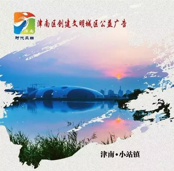 大家谈教育高质量发展,天津津南八里台和小站哪个发展好