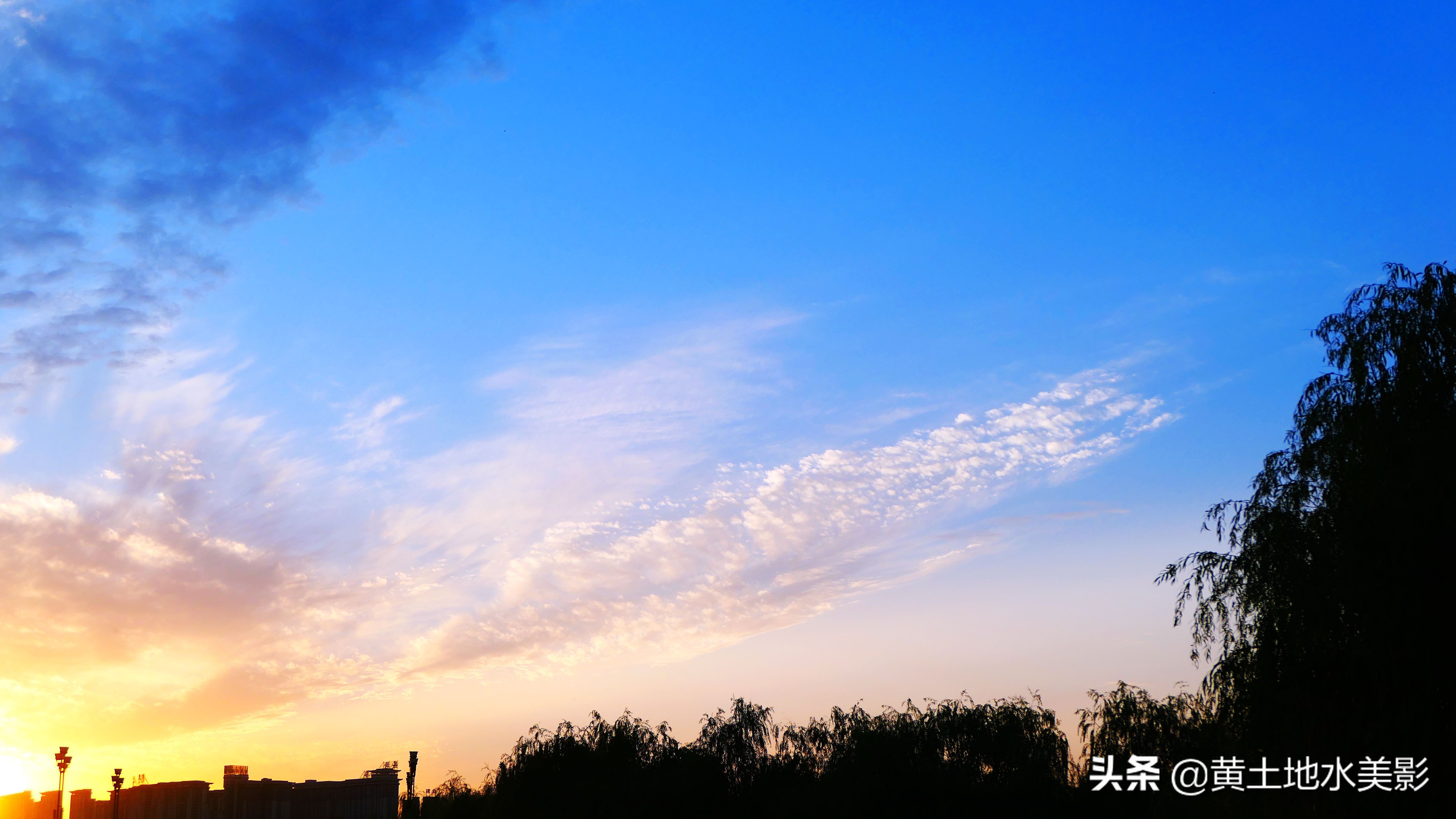 免费游玩东湖公园攻略,游玩国家湿地野鸭湖