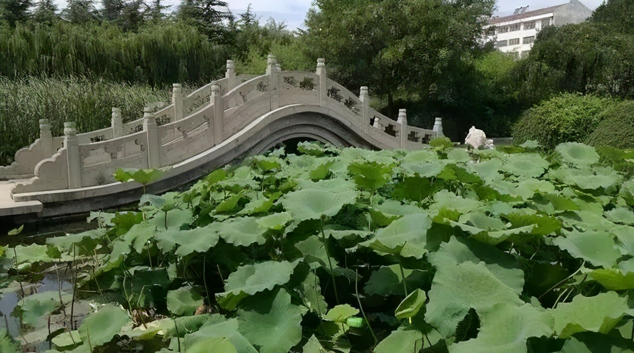 潍坊的私家园林,潍坊自怡园有哪些景点