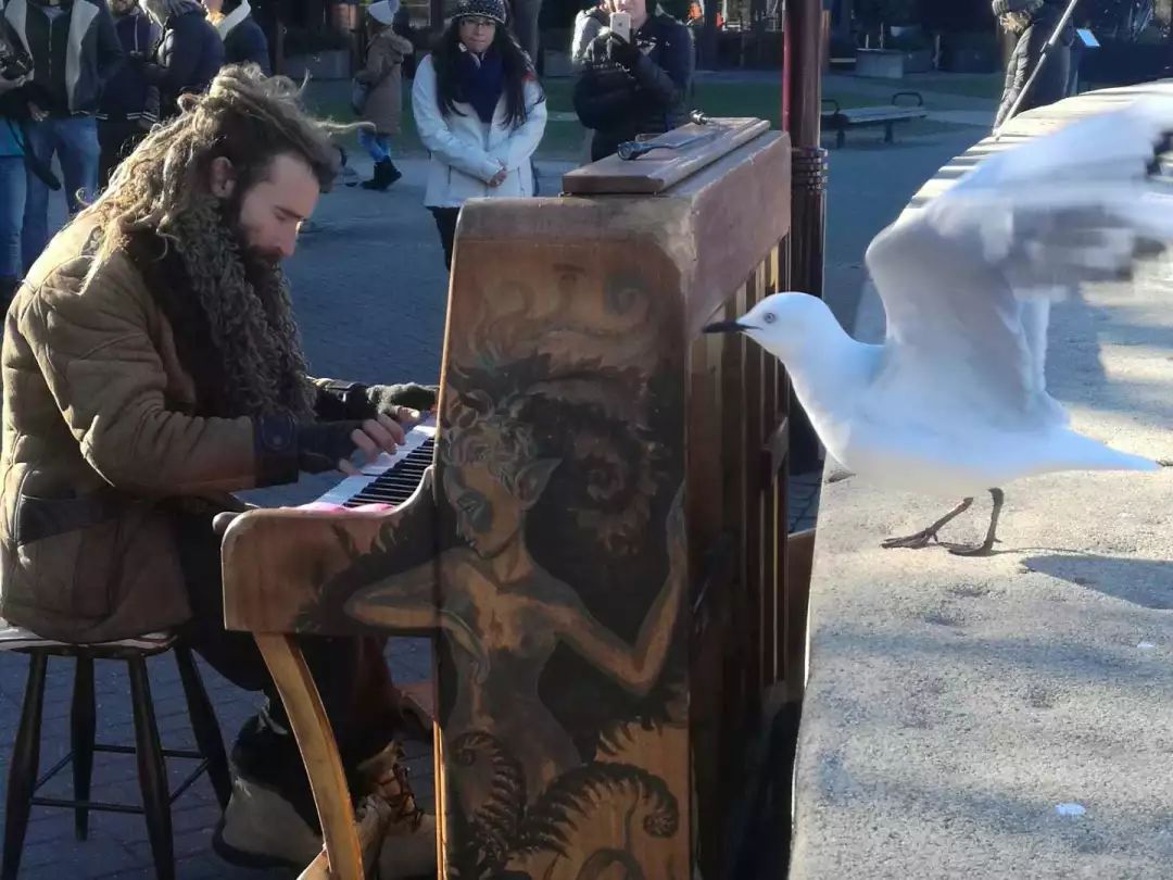 新西兰网红故事,新西兰人真实故事