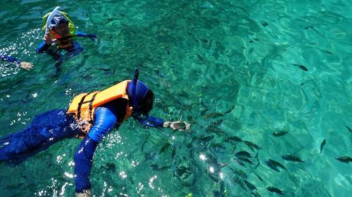 一分钟带你了解海洋深处,一分钟带你了解氢水