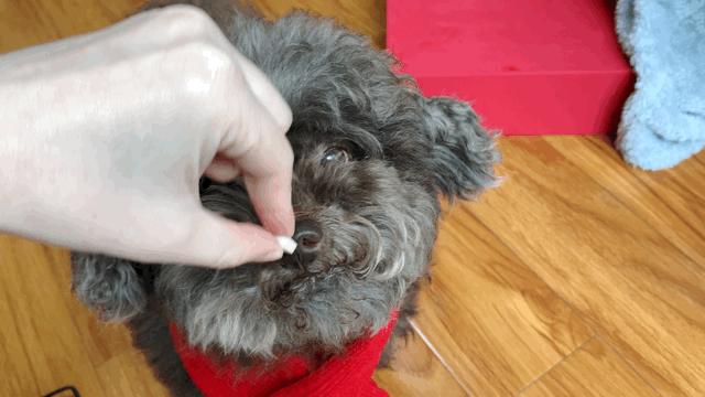 你的专属好物分享,你爱的好物分享