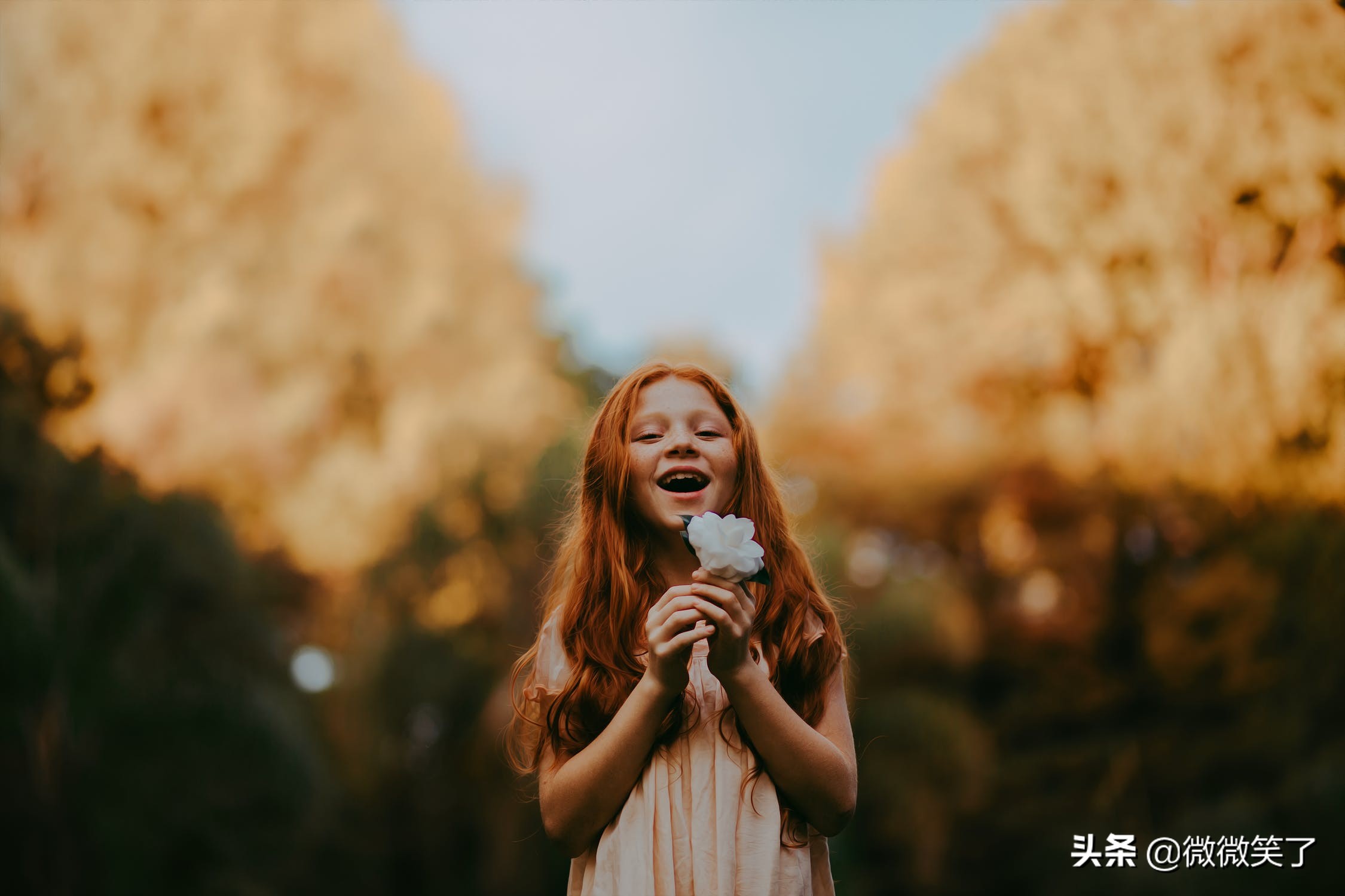 不会写作怎么办,不会写材料怎么办