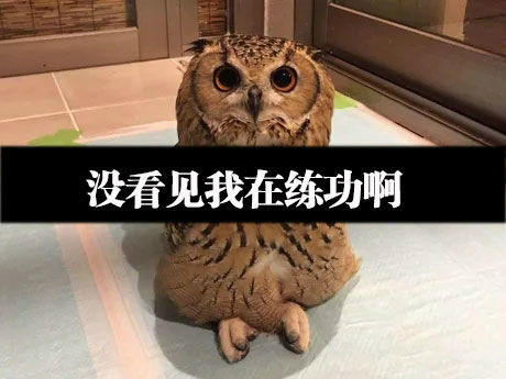 以为误入*教邪**组织