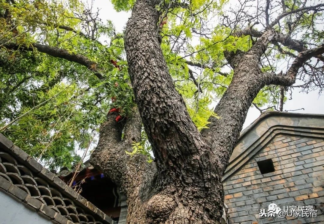 北京网红民宿推荐2人,北京网红四合院民宿酒店