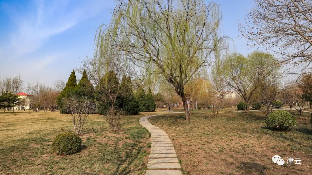 天津北辰郊野公园开放最新通知,天津都有哪些公园随时免费开放