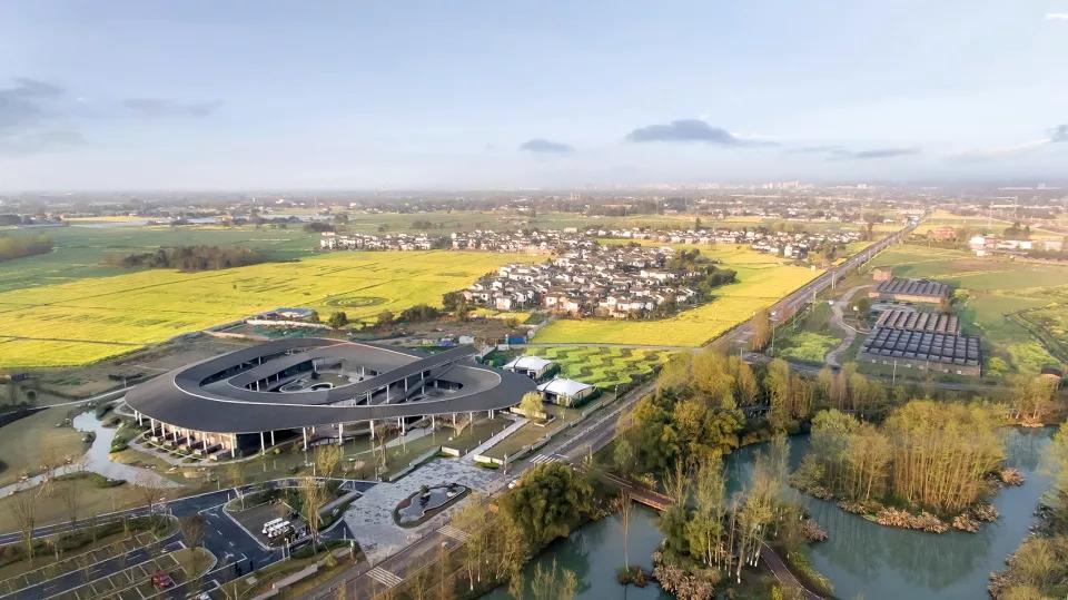 乡村振兴搞什么项目能挣钱,搞乡村振兴的真实目的