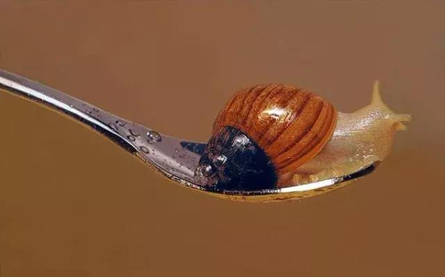 45岁韩国大叔,韩国45岁大叔