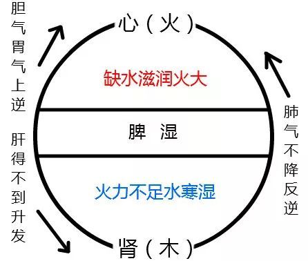 中医五脏与五行的辨证关系,中医里讲五行五气五脏五味五色