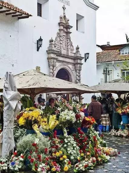 亚洲最大花市宛如仙境,中国最牛的花市