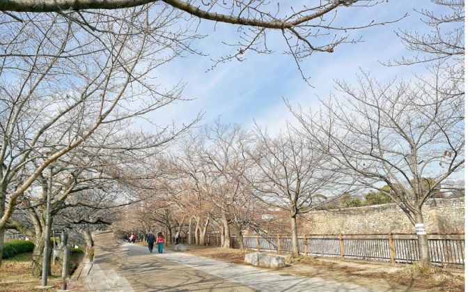 王思聪和李易峰关系有多好,王思聪和李易峰的区别