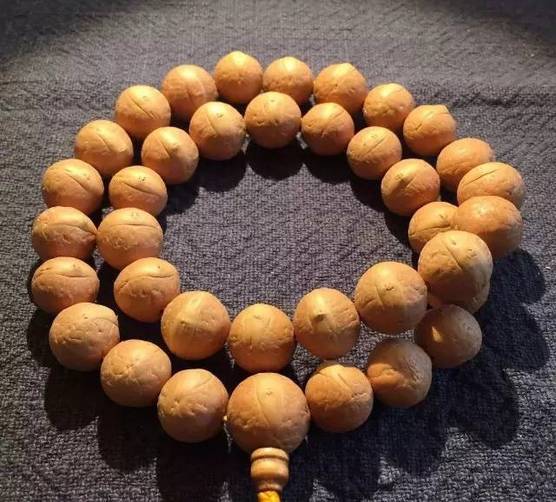 凤眼菩提为什么有的眼睛特别亮,凤眼菩提眼睛破了