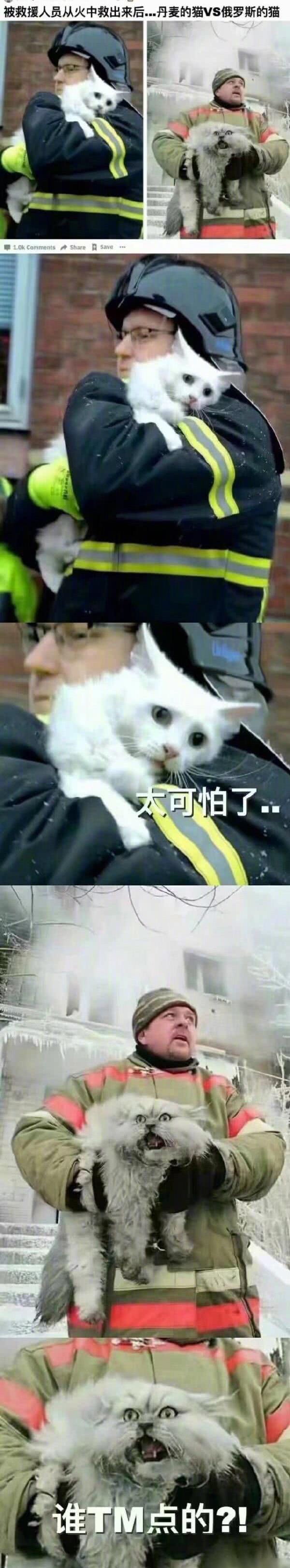 兄弟结婚路虎车队,侄子结婚好多豪车