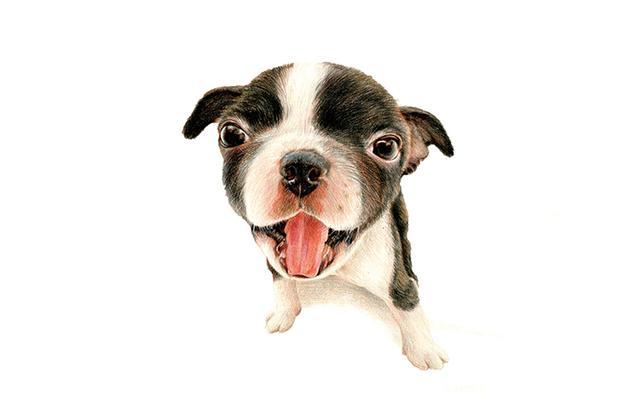 零基础也能学会的绘画教程,绘画教程学会这招零基础也能画