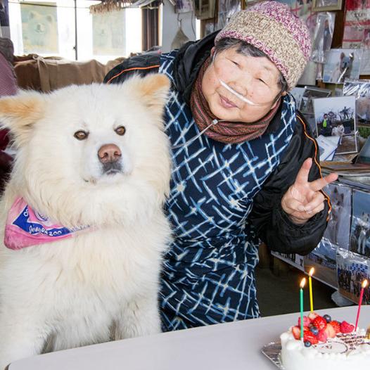 日本网红狗狗去世,日本狗死了