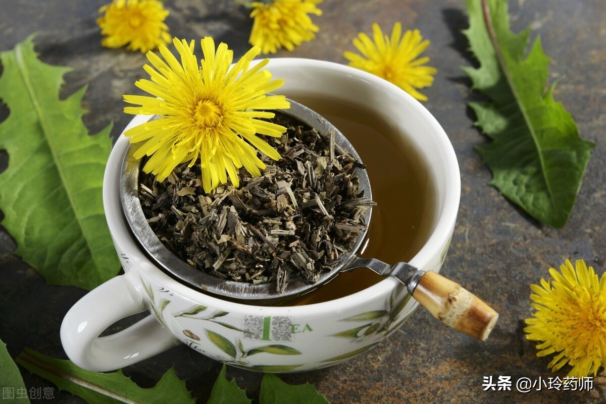 蒲公英茶治肝炎吗怎么喝,喝蒲公英茶对慢性肝炎有哪些好处