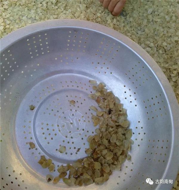 姊佹渤鐗硅壊缇庨鎺ㄨ崘,姊佹渤鐗硅壊缇庨