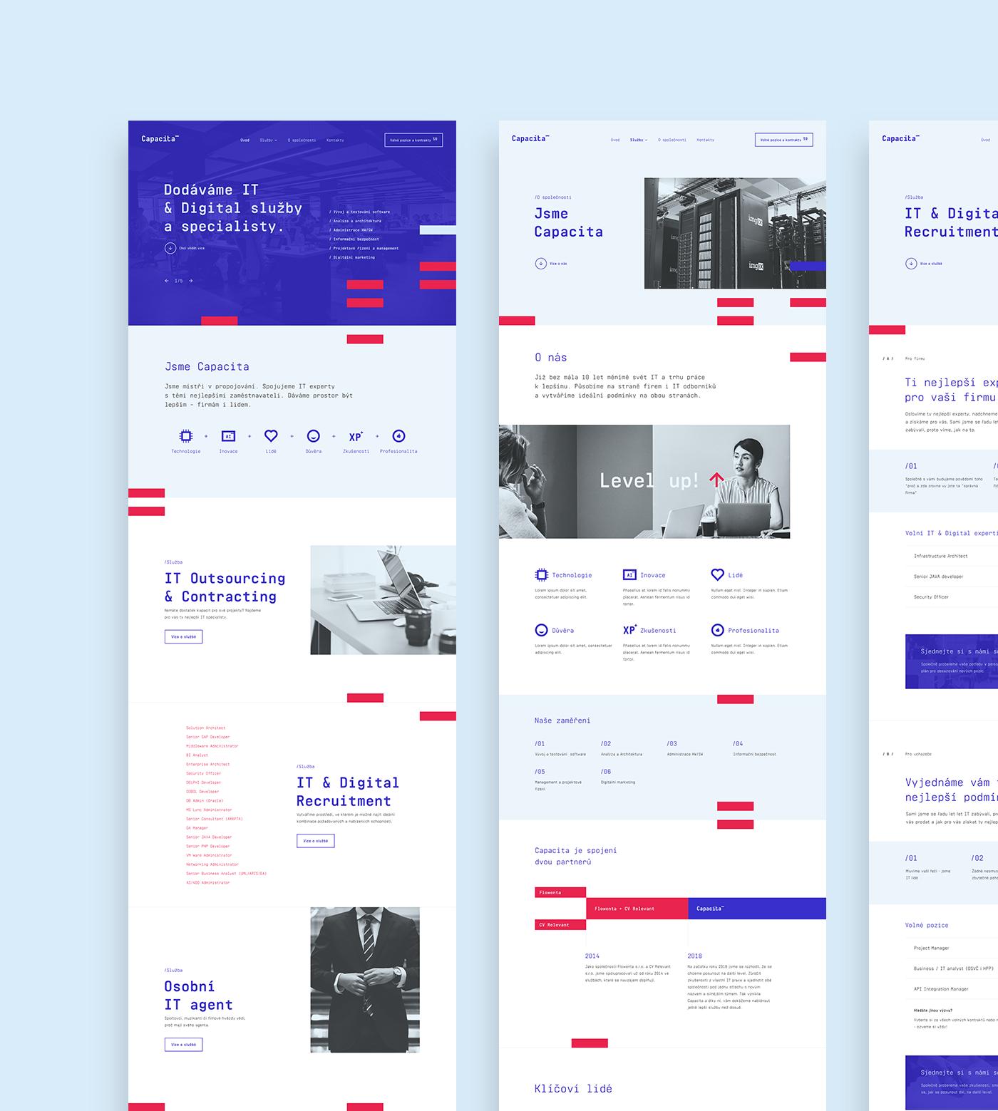 品牌vi设计案例100例,品牌视觉vi设计收费