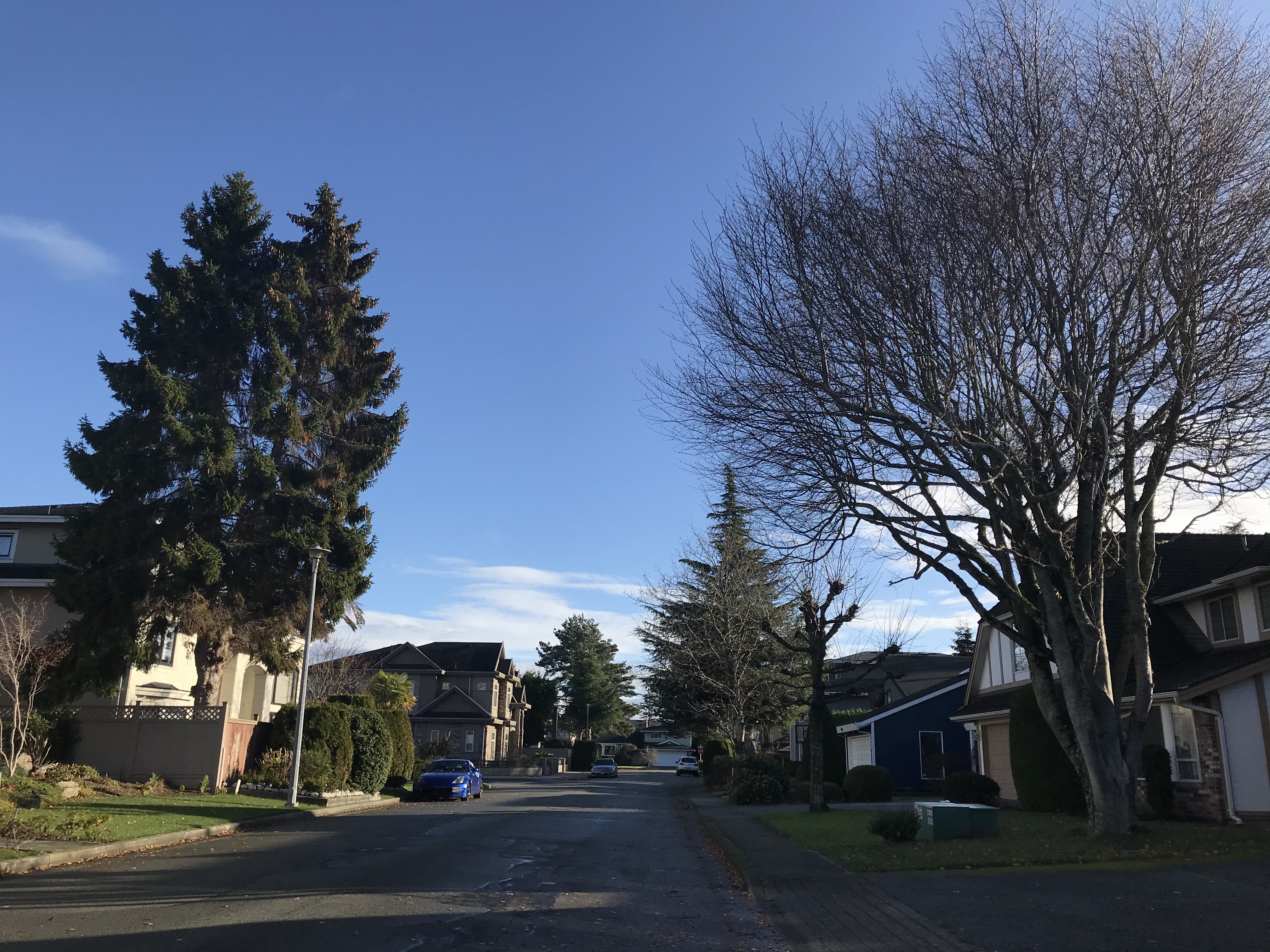 入境加拿大多伦多有了新要求,目前入境加拿大需要盘问吗