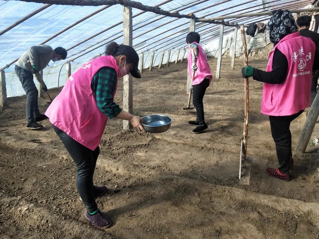 战疫芳华别样三八丨巾帼雷锋志愿先行·“抗疫生产”拼双赢“巾帼雷锋”助春耕