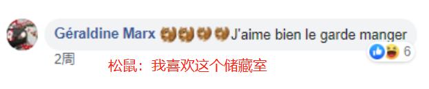 用保时捷911来存粮食，在瑞士连松鼠的生活品质都那么高