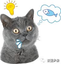 舌尖上的非物质文化遗产,昆明寻甸非遗牛干巴图片