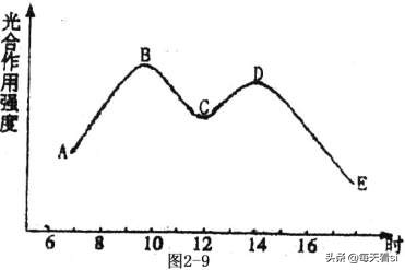 高中生物必修一试卷解析,高中必修一生物试卷