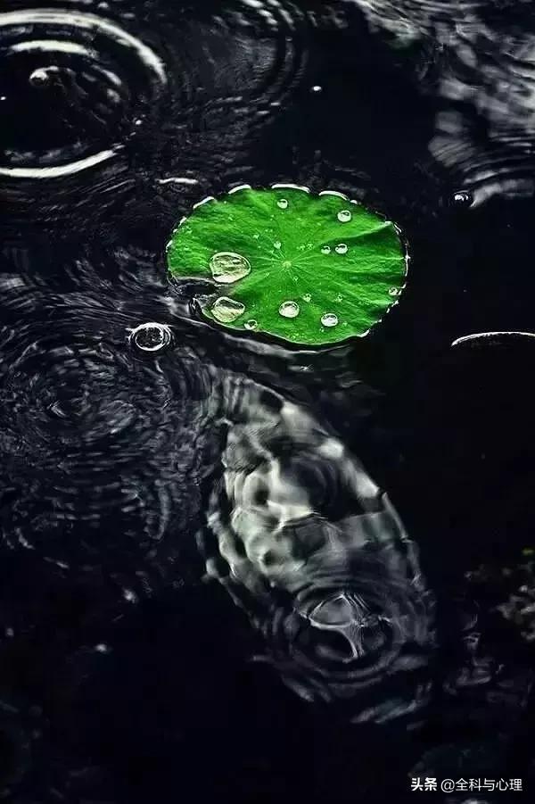 古代的夏天叫什么名字,诗意古代名