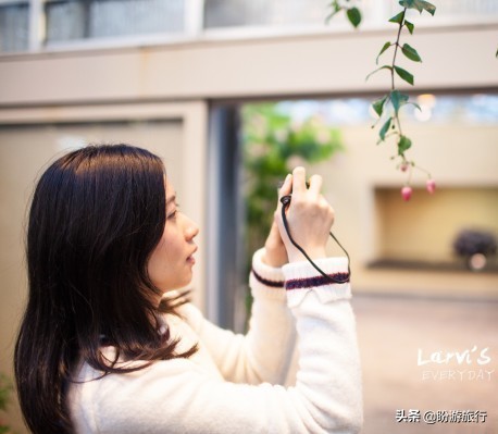 关西白滨自由行攻略,日本自由行攻略大阪温泉