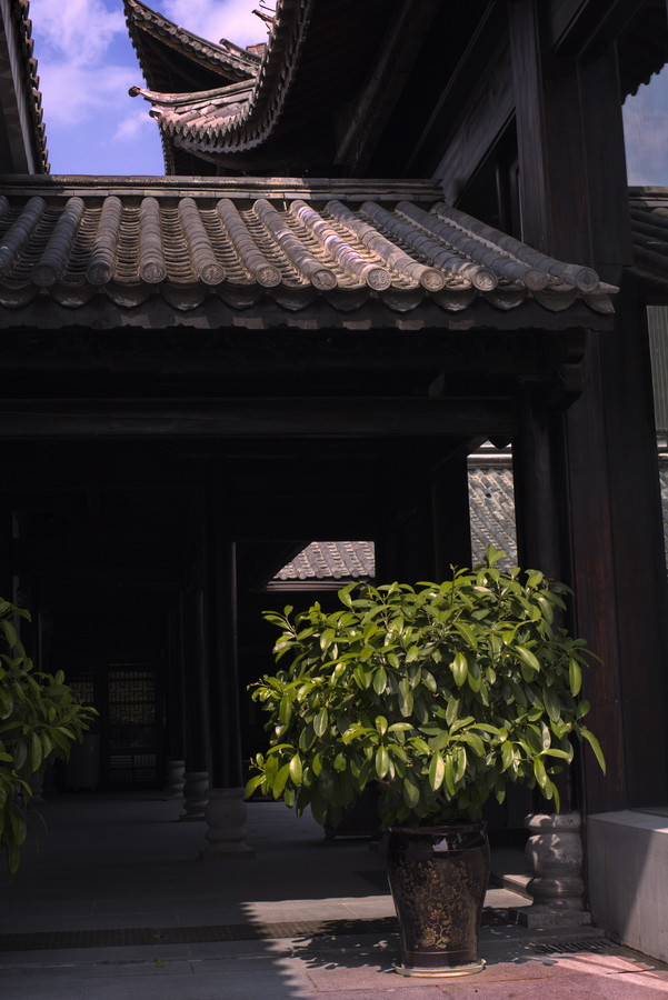 云南瑞丽攻略自由行,过年云南旅游攻略瑞丽