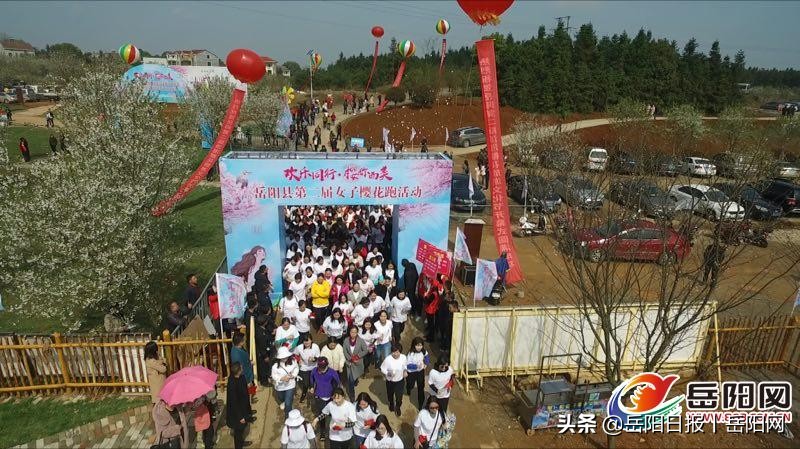 岳阳樱花园最美的地方,到泸州和樱花来一场邂逅