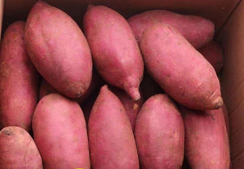 自制红薯粉条做法简单易学,自制红薯粉条最简单的做法