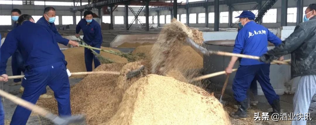 历经180天养曲春酿宋河美酒正当时!