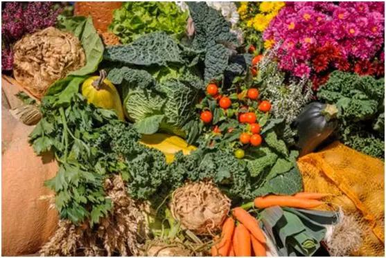 大肚腩肥胖的原因,人到中年发胖怎么解决