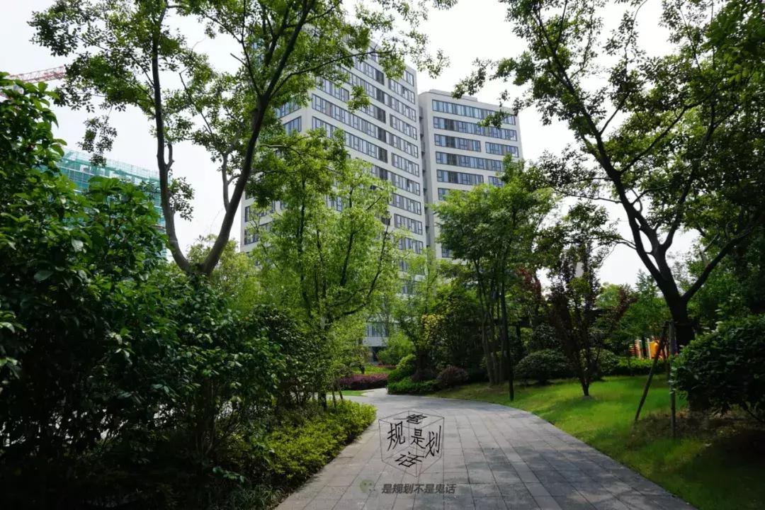 陆家嘴集团前滩住宅,陆家嘴集团前滩项目