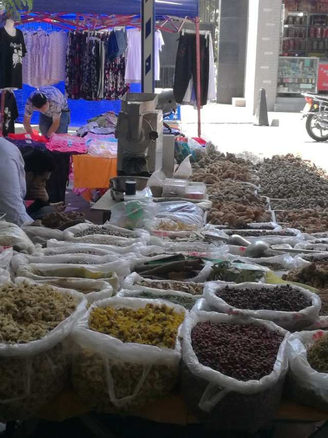 桑树全身都是宝的实例,桑树全身都是药