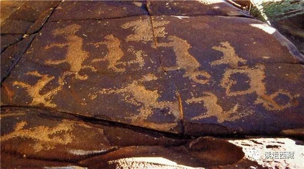 走阿里去纳木错免费吗,走在西藏高原普兰县