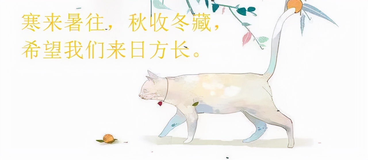 6本男女主势均力敌小说,强推6本男女主双豪门强强联姻