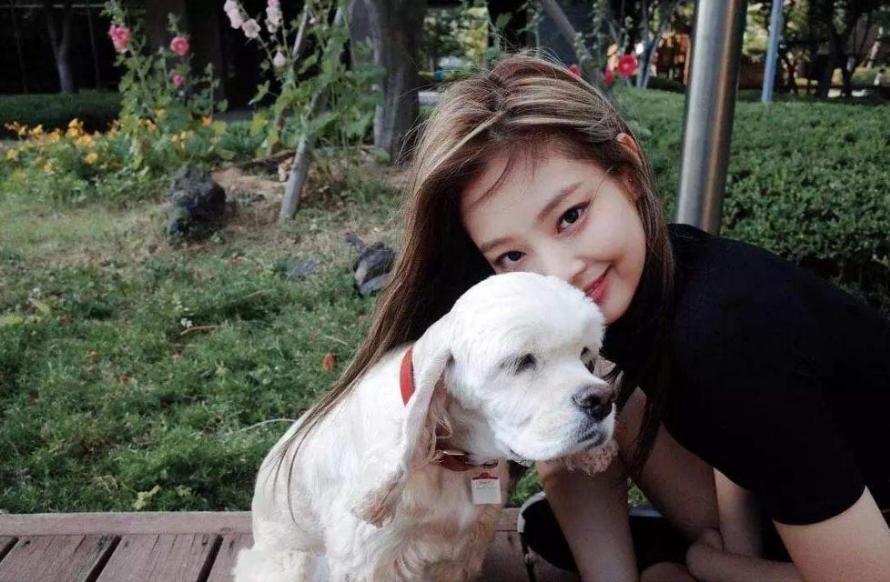 干货来咯零基础学舞蹈,沪江网校韩语零基础入门视频