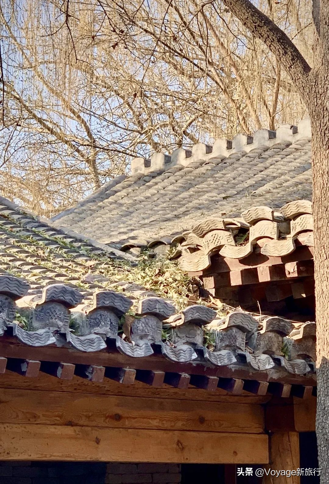 测评｜北京这么多新开甜品店，谁能从网红店中杀出重围？