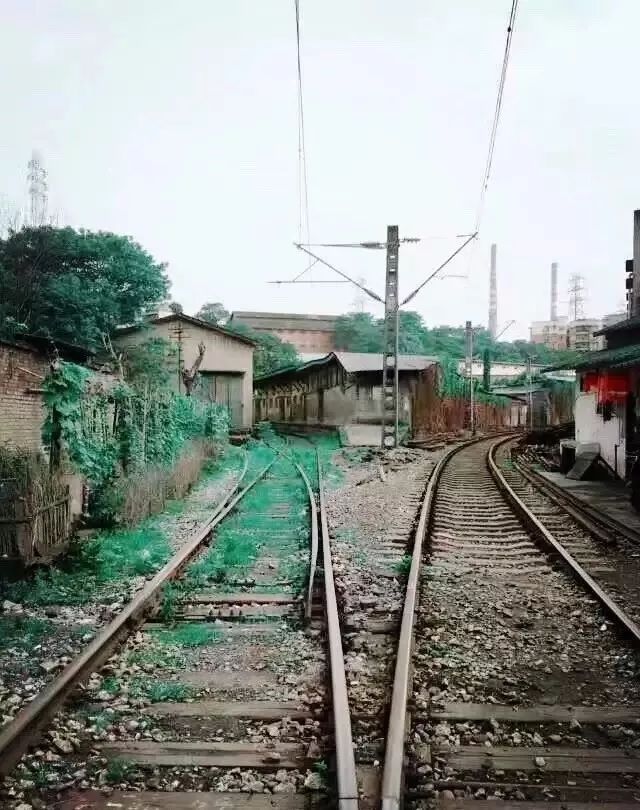 重庆的雾有多漂亮,雨后的重庆就像雾都