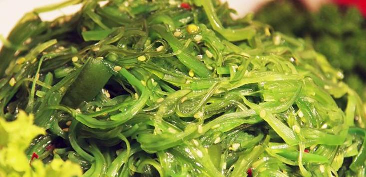 裙带菜和海带的区别知乎,裙带菜和海带有什么区别呢