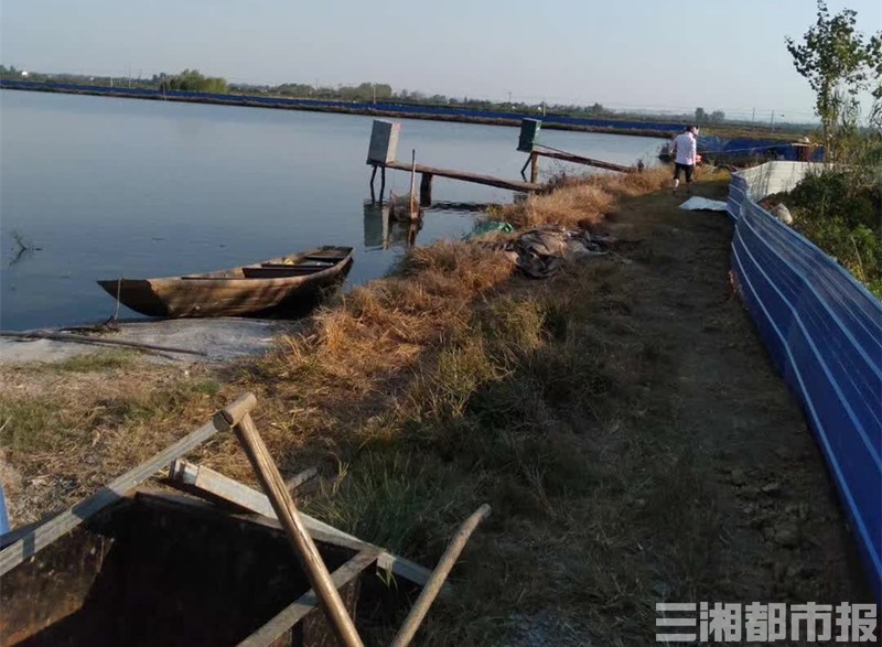 有口福，龟鳖牛蛙“解封”；很焦灼，养殖行业如何“解冻”