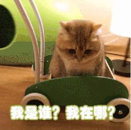 宝宝一直吸着奶不放是没吃饱吗,宝宝吃完还要吃是没吃饱吗