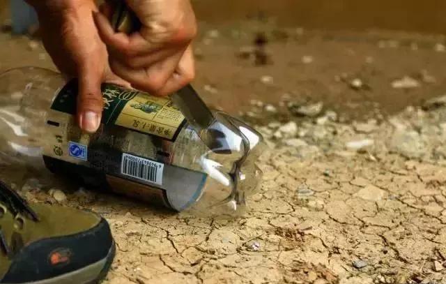 野外求生净化水的方法,野外生存取水的正确方法