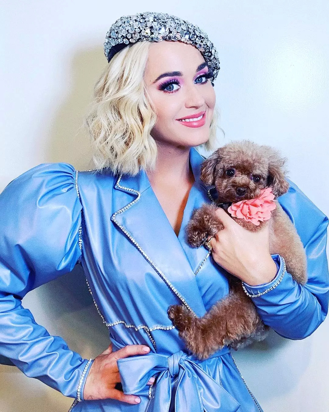 明星的副业是什么,明星副业比你还努力