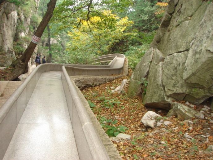 做梦梦到病毒传染,梦到传染病毒