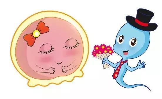 做试管还要看“颜值”？专家：“颜值”达到这个标准才能移植！