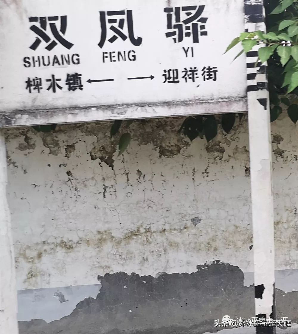 绿皮车成渝铁路上运行,川黔铁路最后的绿皮车